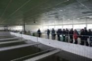 Hundreds of people visited SmVaK Ostrava’s plants